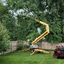 Best Tree Health Inspection  in Fruit Cove, FL